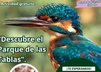 Cartel Visita parque de las tablas en Torrelavega