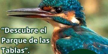 Cartel Visita parque de las tablas en Torrelavega