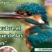 Cartel Visita parque de las tablas en Torrelavega