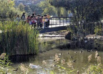 Imagen del parque de las llamas