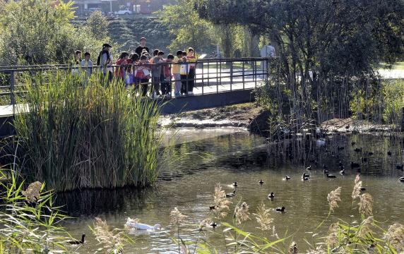 Imagen del parque de las llamas