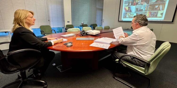 La consejera de Pesca, junto con el director general, durante la reunión vía telemática