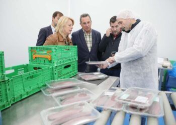 Visita fabrica Pescados José Luis en Santoña