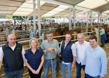 La consejera María Jesús Susinos en la Feria de Los Santos