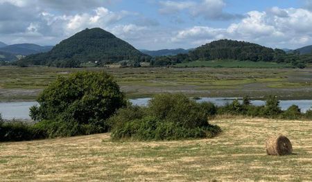 Vista de las Marismas de Argoños.