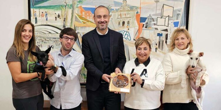 bienestar animal ayudas Torrelavega 2024
