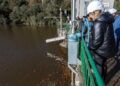 Programa recuperación salmón atlántico
