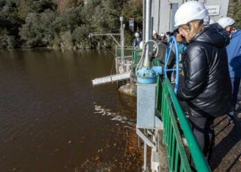 Programa recuperación salmón atlántico