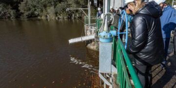 Programa recuperación salmón atlántico