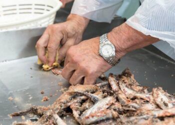 Ayudas a empresas de productos de pesca y acuicultura