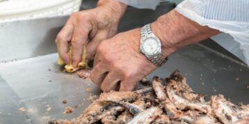 Ayudas a empresas de productos de pesca y acuicultura
