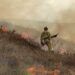 Alerta 2 por riesgo de Incendios Forestales