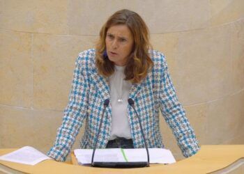 La diputada del PRC Paula Fernández