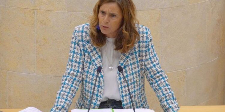 La diputada del PRC Paula Fernández
