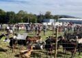 Nuevas fiestas de interés de la comunidad de Cantabria