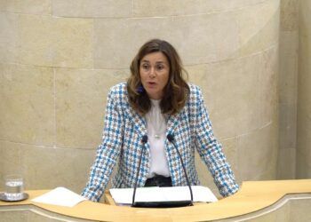 La diputada del PRC Paula Fernandez
