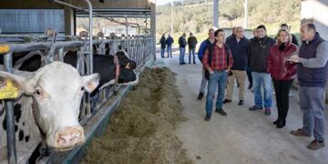 Susinos visita a la explotación agraria de Sat Indelante