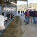 Susinos visita a la explotación agraria de Sat Indelante
