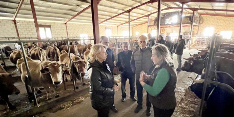 Ganaderia Val del Mazo donde se promueve el relevo generacional