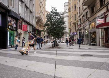 Ayudas al comercio local