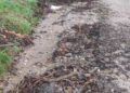 Carretera de acceso a la zona de la Montaña