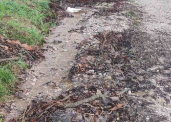 Carretera de acceso a la zona de la Montaña