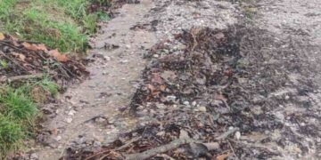 Carretera de acceso a la zona de la Montaña