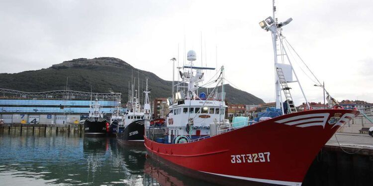 Ayudas para jóvenes pescadores