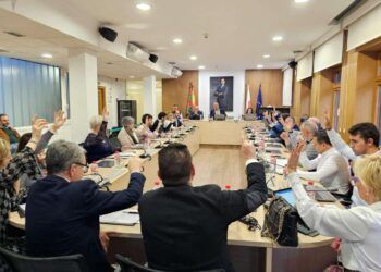 Pleno ayuntamiento adjudicación fase II la Lechera