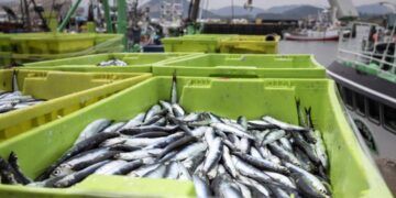 Cantabria impulsa inversiones en cofradías de pescadores con ayudas