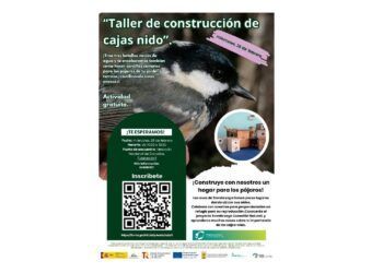 taller de construcción de cajas nido