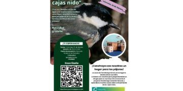 taller de construcción de cajas nido