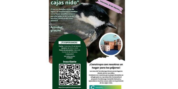 taller de construcción de cajas nido