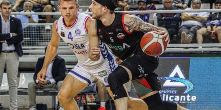 Partido clave para Alega Cantabria ante HLA Alicante