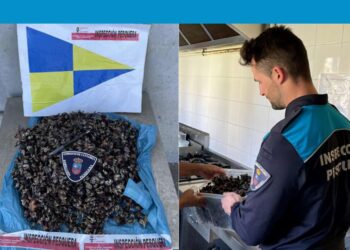 Inspección Pesquera