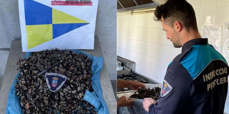 Inspección Pesquera