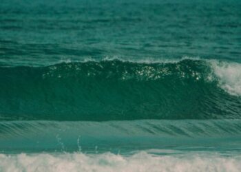 Surf y sostenibilidad se dan cita en el Centro de Surf de Somo