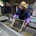 Alevines criados en Soba impulsan la biodiversidad fluvial