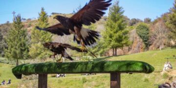 Turismo en cantabria semana santa
