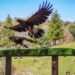 Turismo en cantabria semana santa