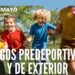 educadores de tiempo libre