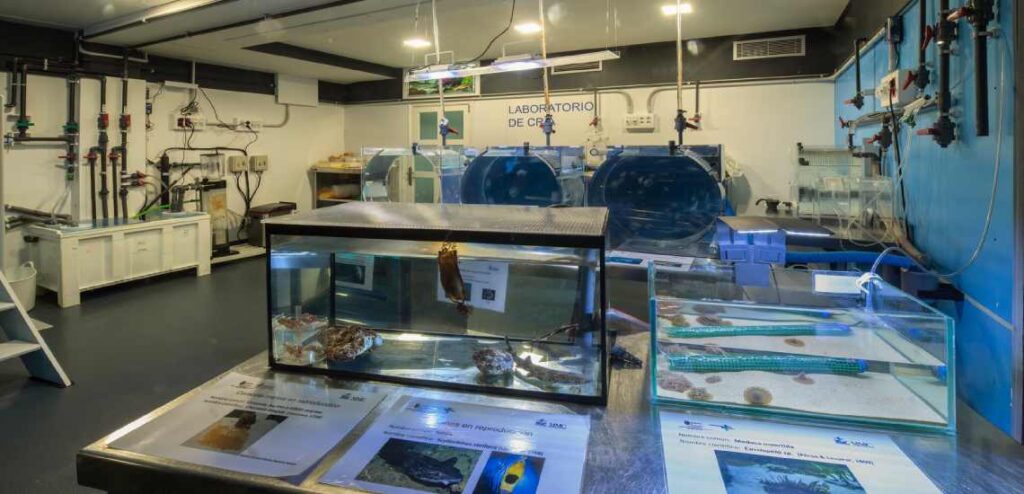 Laboratorio del Museo Marítimo del Cantábrico