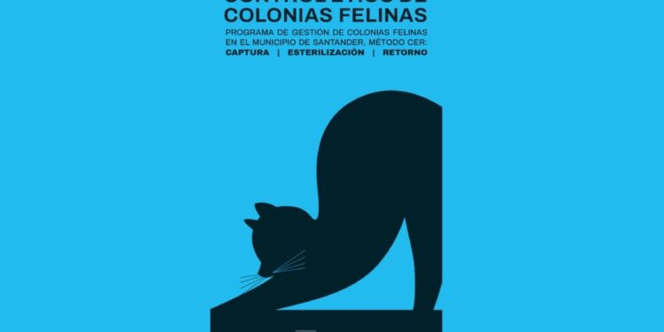 Colonias de Gatos en Santander