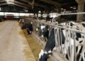 Cantabria convoca ayudas al sector lechero