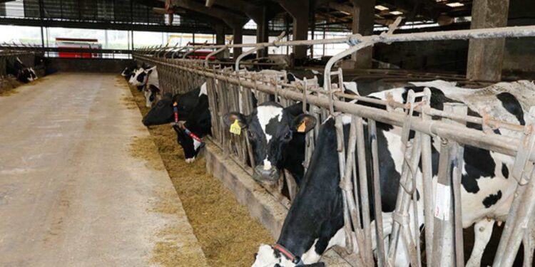 Cantabria convoca ayudas al sector lechero