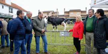 Feria Ganadera