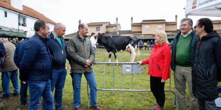 Feria Ganadera
