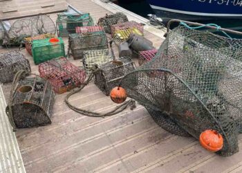 Incautan artes prohibidas en operación contra pesca ilegal