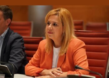 Comisión de Investigación