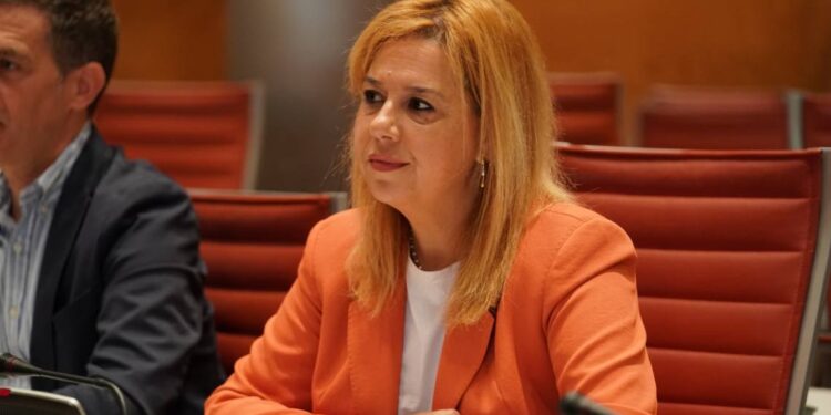 Comisión de Investigación